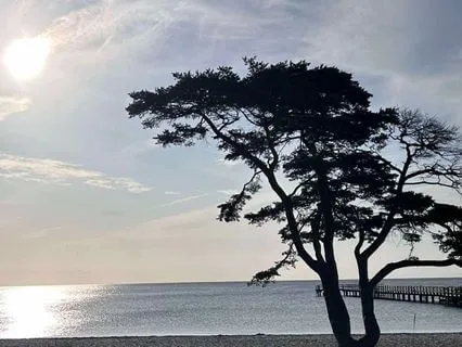 Närvarande morgon för ett centrerat ledarskap