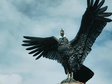 Nas Asas do Condor, Uplifting Andes Instrumental Panflute