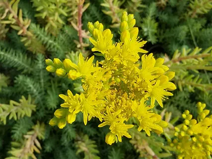 Настрой на Изобилие и Благосостояние в Солнечном Сплетении 2