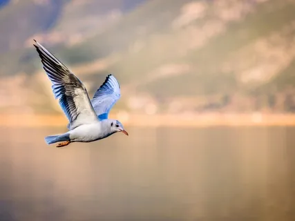 Настрой на Новый День, Дела, Действия