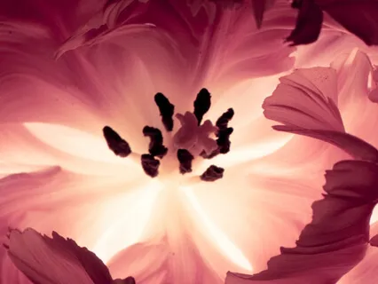 Настрой На Омоложение и Оздоровление Всего Организма (Для Женщин)