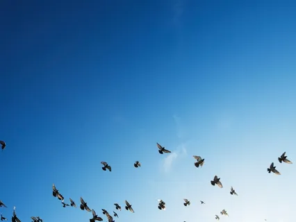 Настрой На Освобождение "Я Отпускаю Всё" (по Луизе Хей)