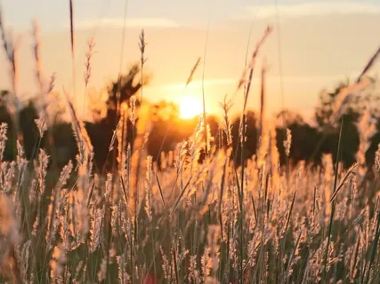 Настрой на Успешный День -  Сила Вашего Мышления