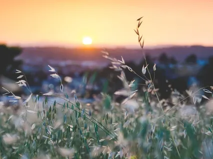 Настройка На Лучший День