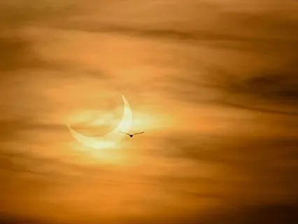 Native American Harmonic Flute With Bird Song