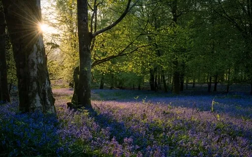 Native Flute From Mystic Forest