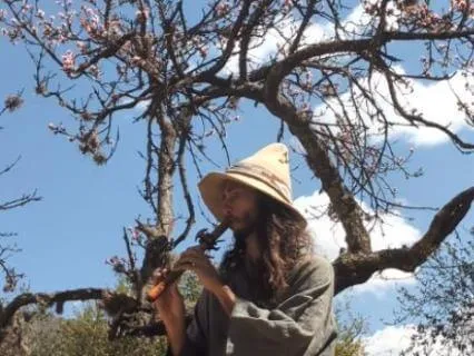 Native Flute | Sakura's Silence