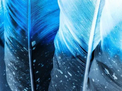 Native Indian Camp At Night, Drift To Sleep