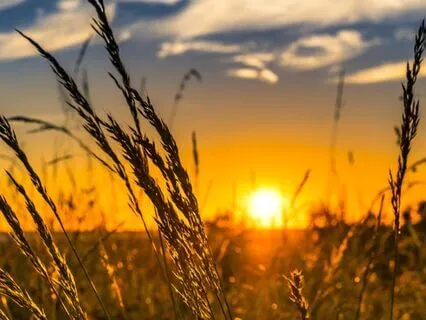 Native Ocarina for Inner Light (Long Version)