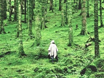 Natur's Breath- Relax & Recharge