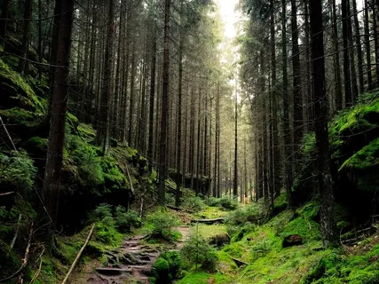 Natural Awareness With Anchors 