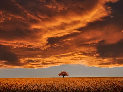 Natural Breath: Circuit Breaker