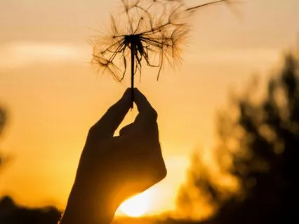 Natural Breath For Stress And Anxiety Relief