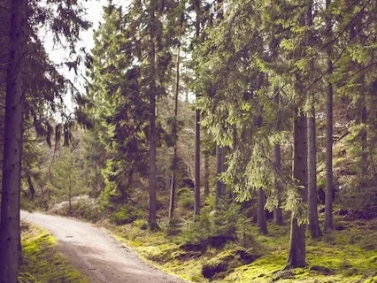 Natural Breathing - Mindfulness Practice