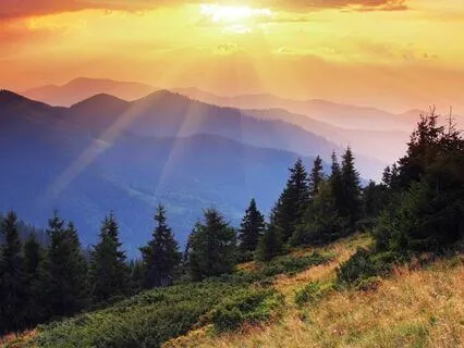 Natural Calm ~ Soul Soothing Music & Nourishing Nature