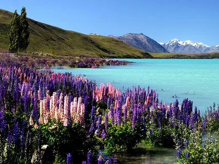 Natural Gratitude - Attention And Noticing