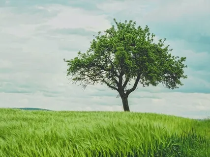 Naturally Deep Relaxation