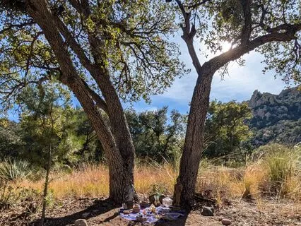 Natural Mindfulness Of Breathing