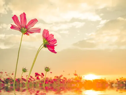 Natural Scale Handpan