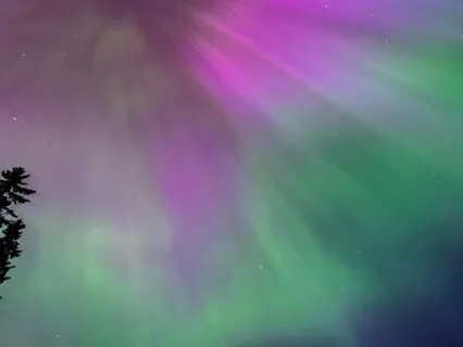 Natural Sleep Harmony- Fast Asleep In Minutes