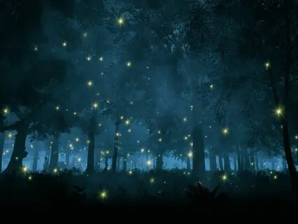 Nature and Music Immersion for Sleep and Relaxation