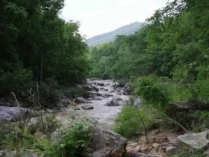 Nature ASMR for Those Who Want to Sleep Now