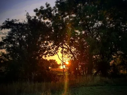 Nature At The Heart Of Wellbeing: The End