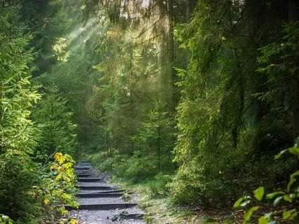 Nature Based Awakening Consciousness