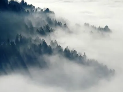 Nature-Based Focusing Practice