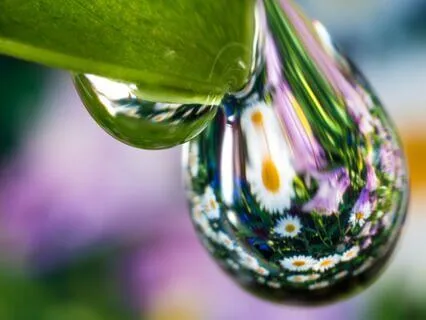 Nature Bathing For Relaxation And Stress Release