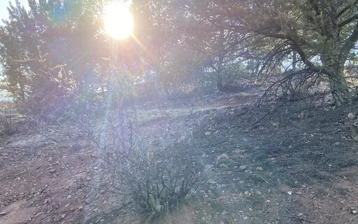 Nature Boy Ahum Prema