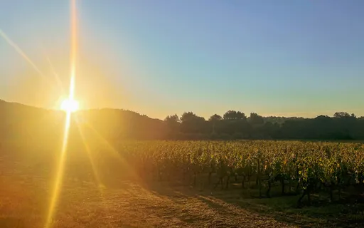 Nature Connection Morning Meditation