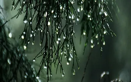 Nature Deep Sleep - 888Hz