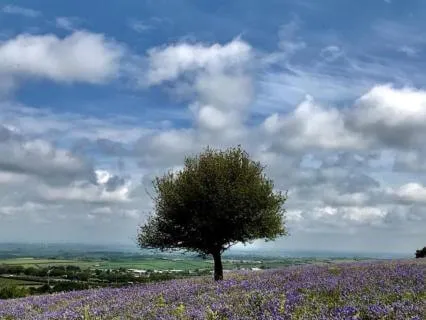Nature Doesn't Rush - May 12