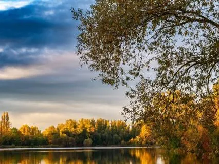 Nature Images