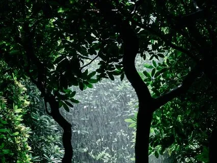 Nature Is The Answer: Morning Sound Bath