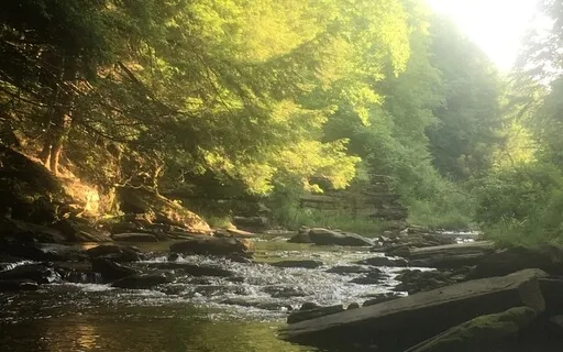 Nature Is The Greatest Healer