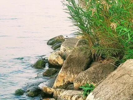 Nature Meditation For Being Present In The Moment