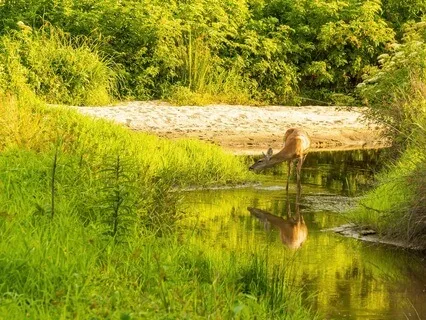 Nature Meditation For Deep Relaxation And Tranquility