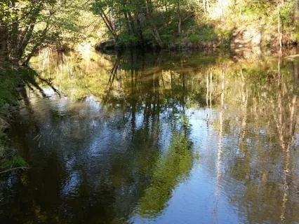Piano River Through Changing Seasons