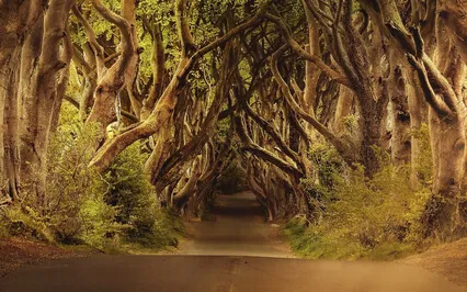 Nature Music With Water Sounds