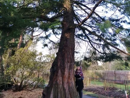 Nature ReConnect: Let Go, Recycle, And Renew