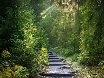 Nature Retreat Guided Meditation