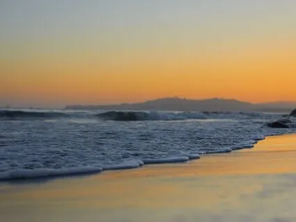 Nature’s Flow: The Whole Flow Quality - Fingers And Hands