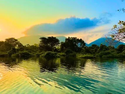 Nature's Frequency: 432Hz Meditation Music with birdsong