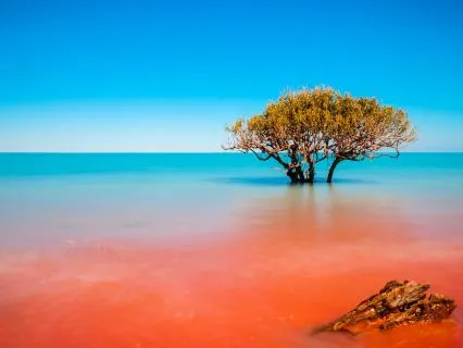 Nature's Paradise On Earth