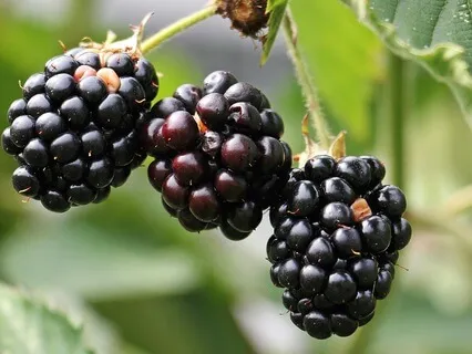 Nature's Reminder To Re-Balance - September 25