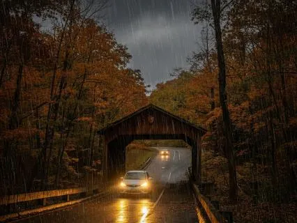 Nature's Sound Sleep - Car Interior and Rain - 8 Hr