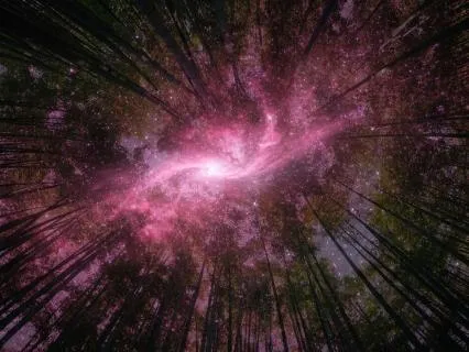 Nature's Sound Sleep - Natural Pink Noise (8 Hr)