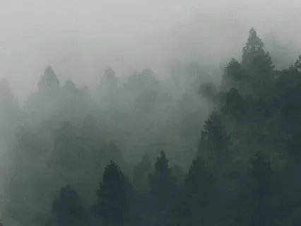 Nature's Sound Sleep - Windy Forest Grey Noise - 8 Hr